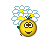 :daisies: